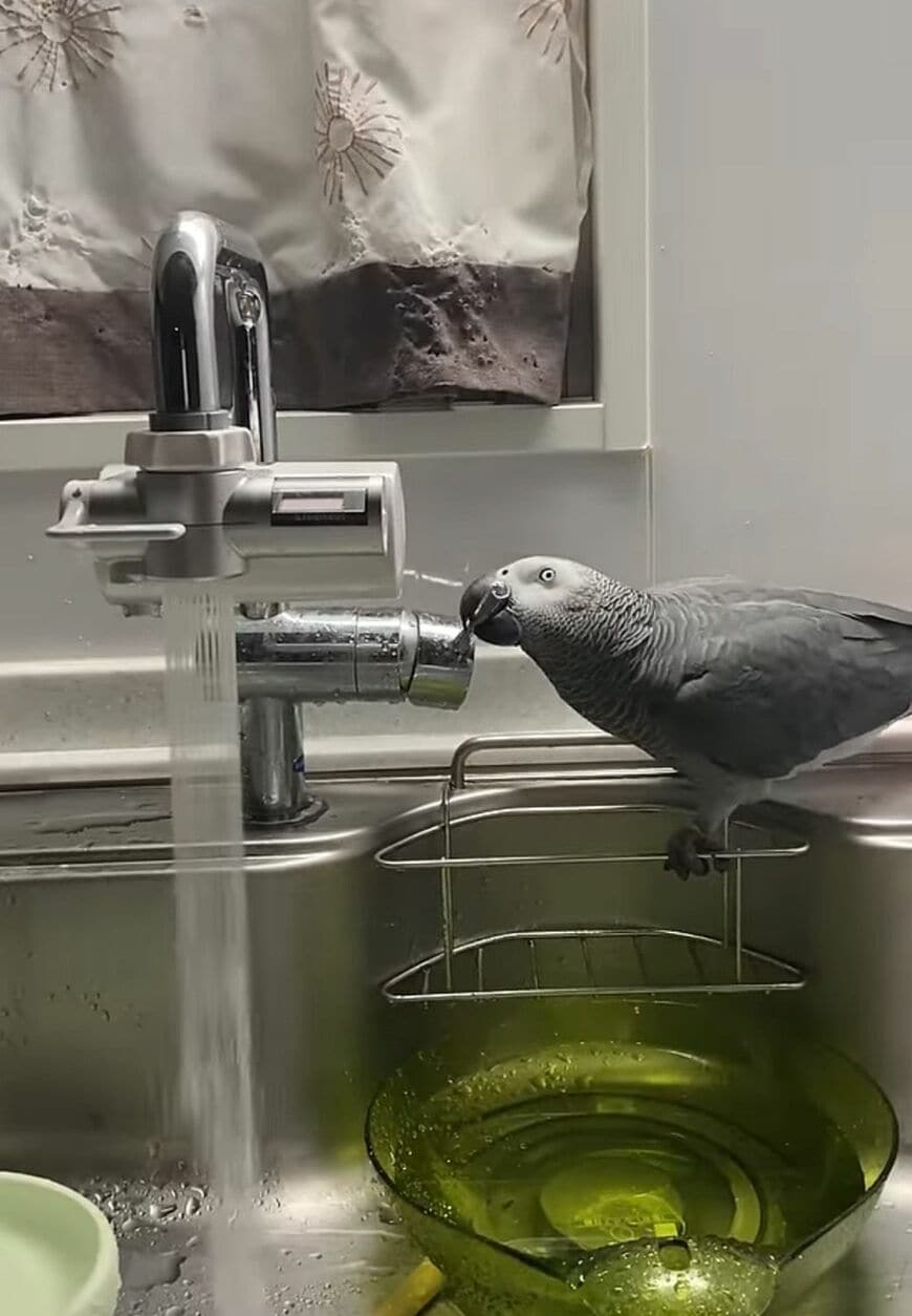 水道を出せても締めることはできない（写真提供：カマタさん）