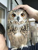 （写真提供：ゲンさん）