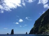 断崖絶壁がそびえる悪石島（画像提供：片野田隆紀）
