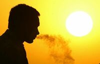 ｢喫煙による死者｣は世界で毎年700万人 製品サイクルの全過程で環境汚染､WHO発表