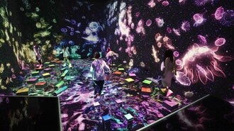 現代っ子は｢立体不足｣?身体で理解する世界とは