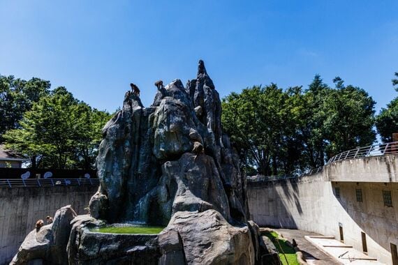 東武動物公園 サル山