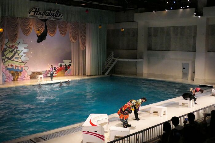 いるか・あしかパフォーマンス