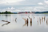 パナマ運河の水面から木の切り株が現れているPhotographer: Walter Hurtado Lozano/Bloomberg