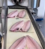 ノルウェーサバのフィーレ（写真：筆者提供）