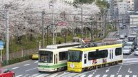 誕生100余年､｢都電荒川線｣の変わらぬ魅力 歴史や車両について､のんびりと振り返る