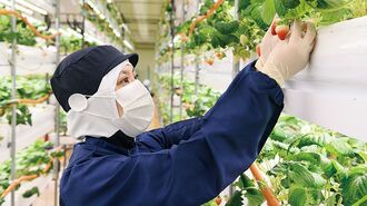 携帯キャリアのシェア競争｢沖縄は無縁｣な理由
