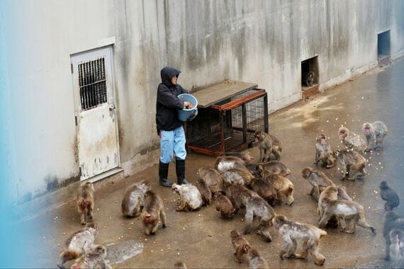 パンチくん 飼育員
