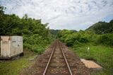 踏切を渡りながら撮影した写真。線路が森の中に消えていくような風景は、映画『スタンド・バイ・ミー』を髣髴とさせる（筆者撮影）