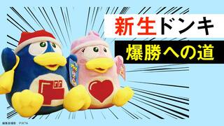 新生ドンキ　爆勝への道