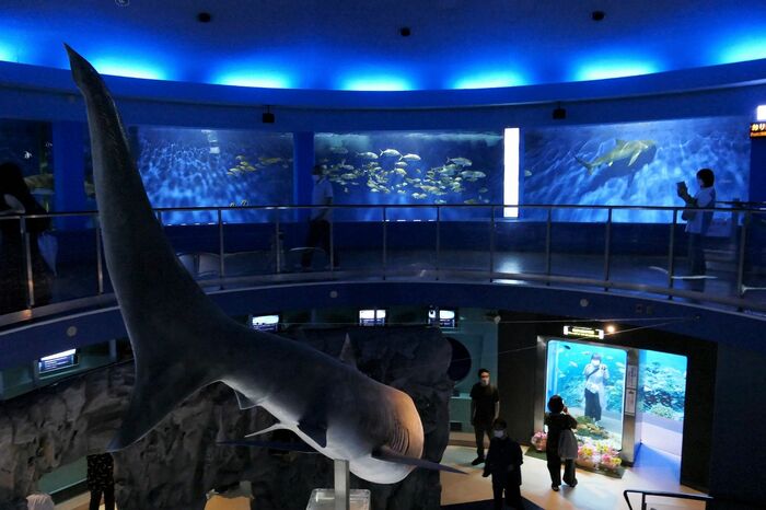 魚の国「回遊水槽」