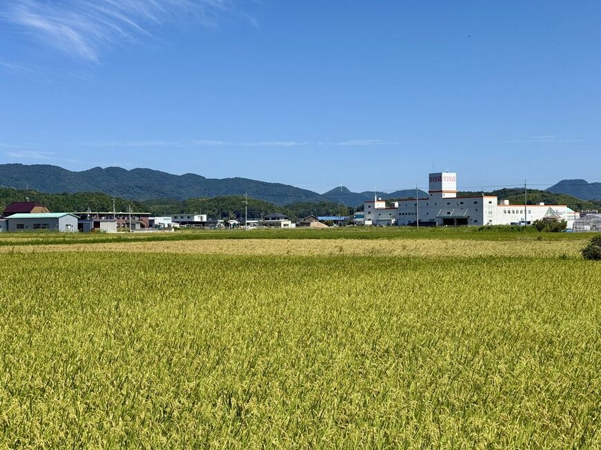 島根県出雲市　ViVA