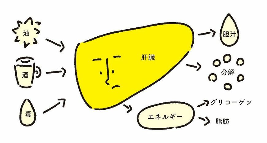 『怖いけど面白い予防医学』より