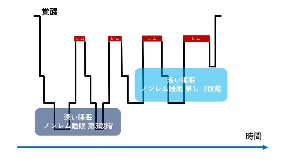 睡眠の経過とノンレム睡眠・レム睡眠