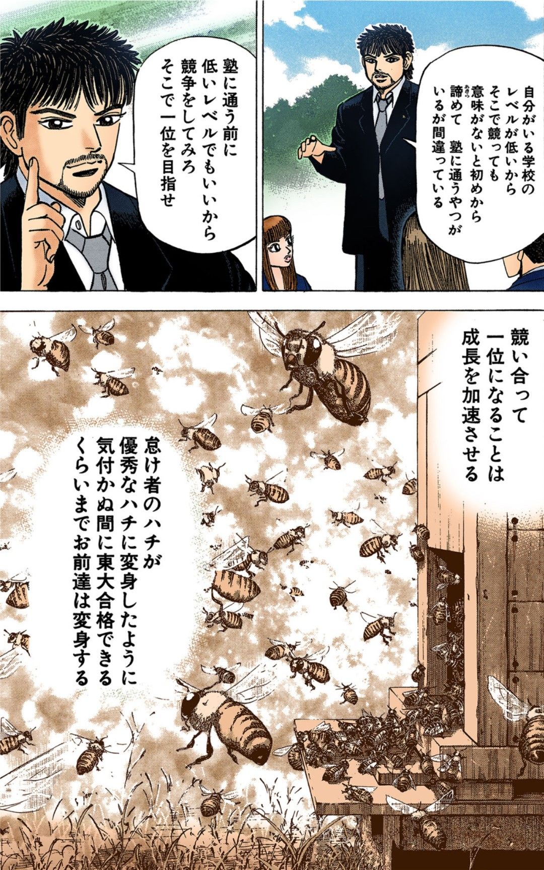 漫画：ドラゴン桜