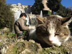 第2位：ティヴォリのエステ家別荘と猫