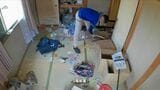 ゴミ屋敷