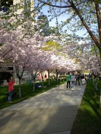 真理は発見されるのか、発明されるのか？ 私の心の中の澱、20年問い続けてきたこと