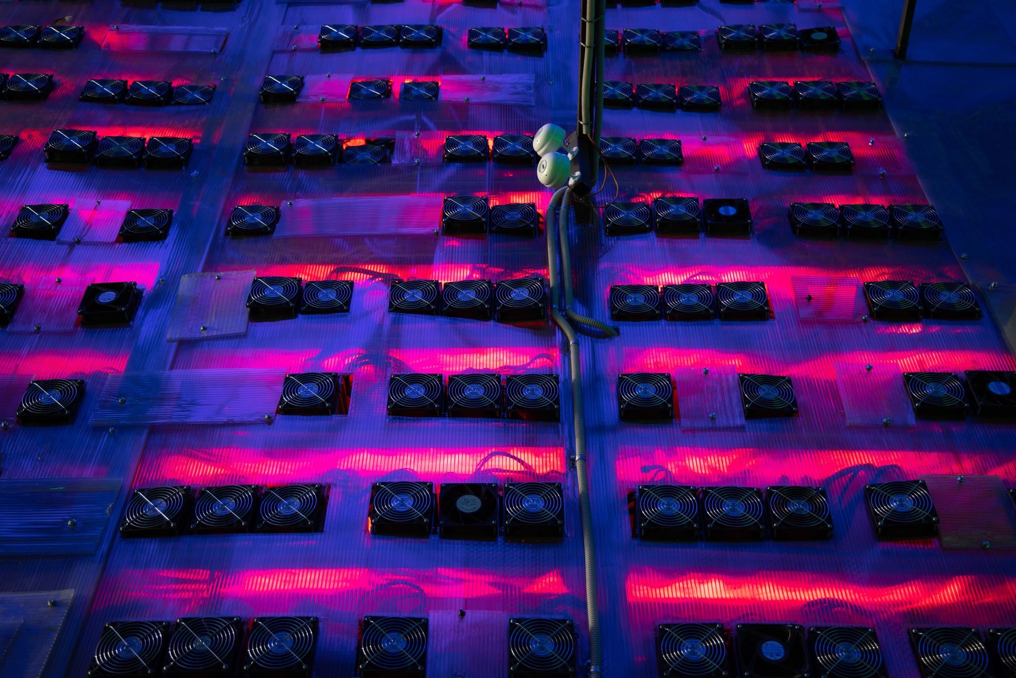 ビットコイン下落､4万ドル割れ－取引開始来最悪の年初｜会社四季報オンライン