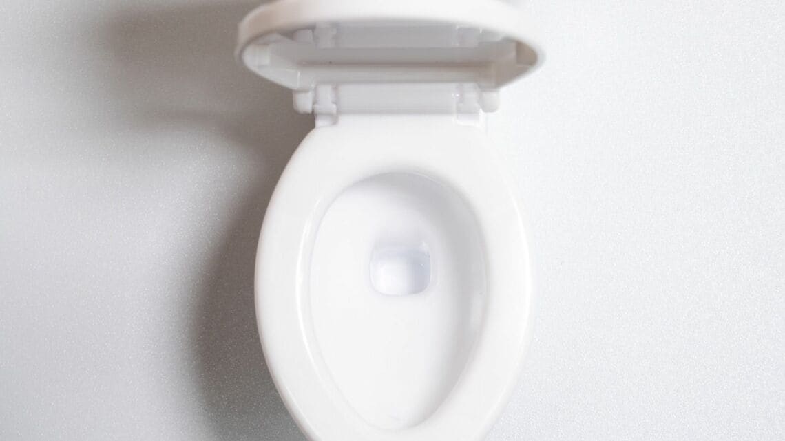 138億年を疾走する圧倒的にわかりやすくてドラマチックな 全人類の教養大全2