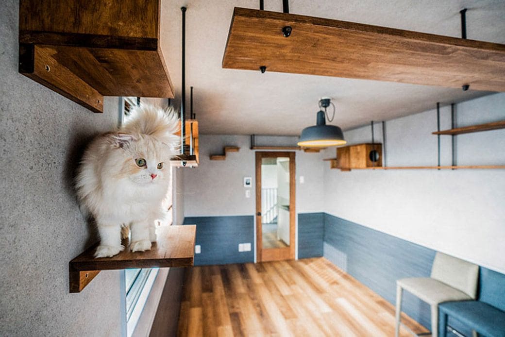 「猫可」の部屋はたちまち入居が決まった