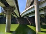 ビルの向かい側では、首都高が旧江戸城の石垣をダイナミックにまたいでいる（筆者撮影）