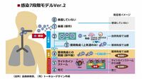 新型コロナ｢7段階モデル｣で今冬の流行を予測 高橋泰教授｢98％は風邪､血管が弱いと要注意｣