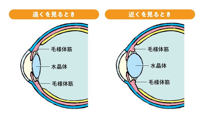 スマホで疲れ目の人 に知ってほしい2つの技 健康 東洋経済オンライン 経済ニュースの新基準