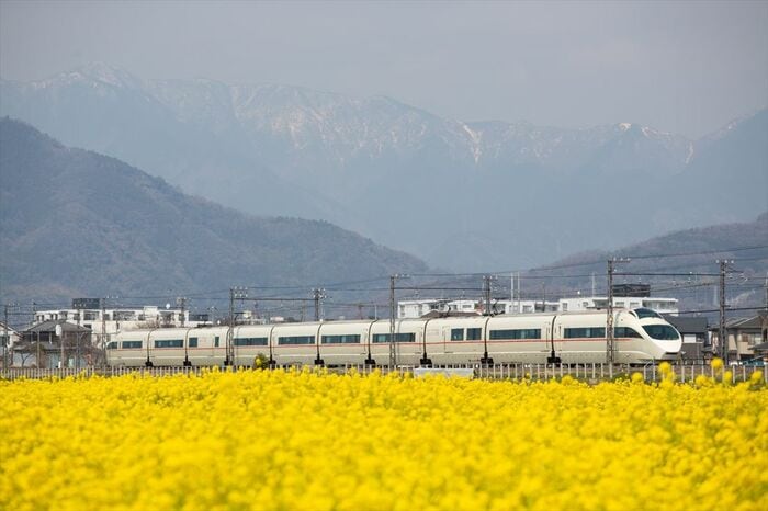 菜の花畑を行くVSE