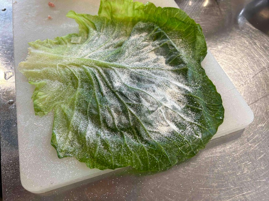 （写真：編集部撮影）