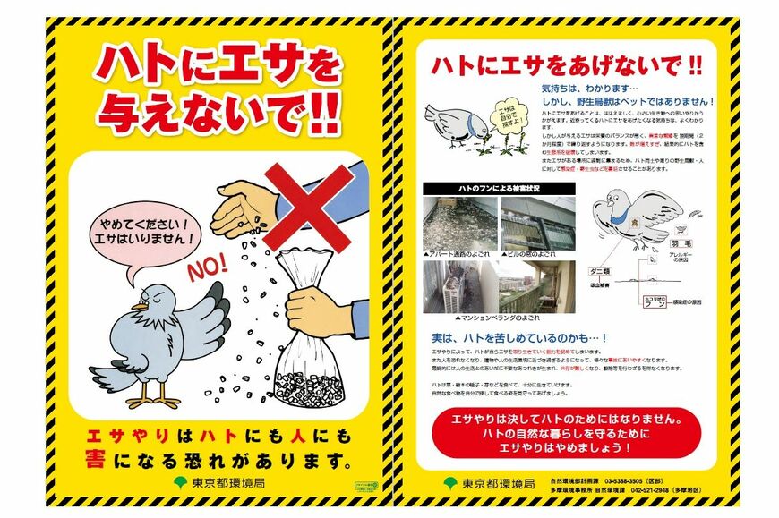 東京都のチラシ（画像：東京都のホームページより）
