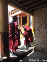 チベット僧侶