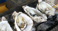 新たな冬の風物詩､焼き牡蠣ブームの裏側 ｢牡蠣小屋｣が日本各地で熱気を帯びる