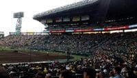 ヤジが響く甲子園球場は､とにかく楽しい 12球団のホームグラウンドへ行ってみた<12>
