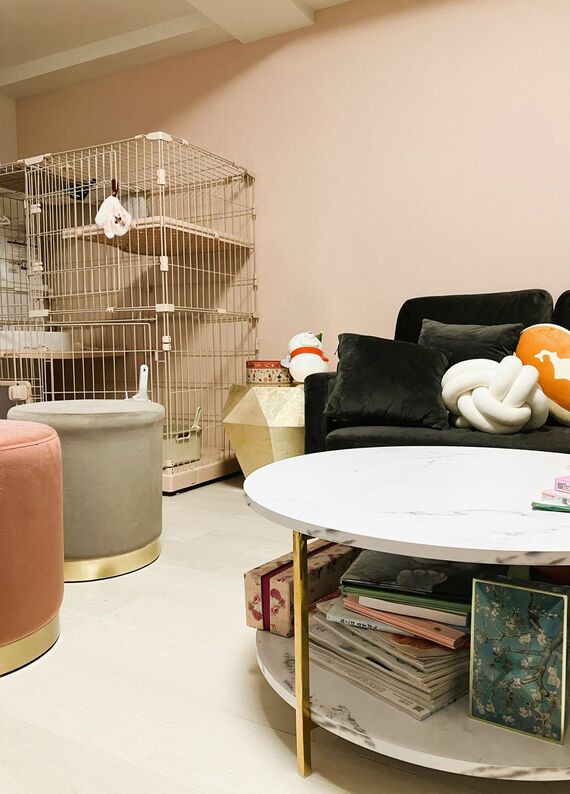 サーモンピンクの壁