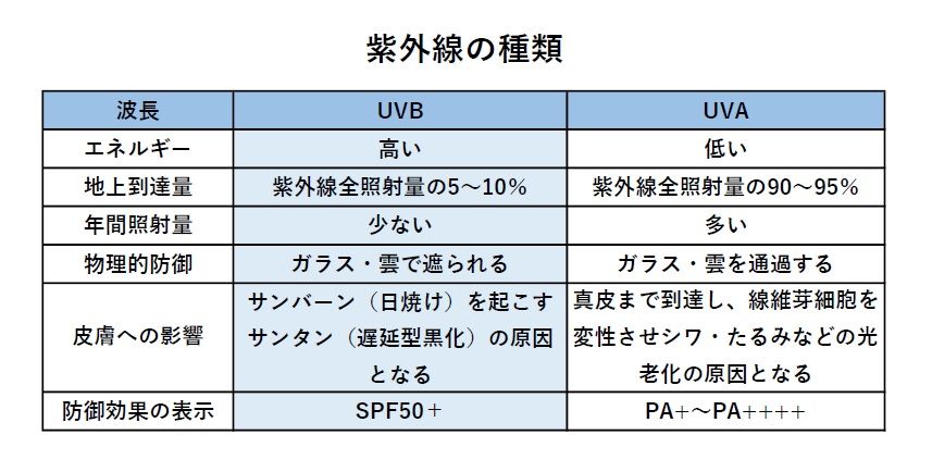 山本医師への取材を基に筆者作成