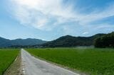 そうめんの里裏手に広がる田園風景（筆者撮影）