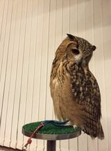 （写真提供：ゲンさん）