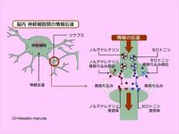 第5回 加工食品と上手につきあう