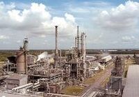 インドで働く日本人社員をいかにケアするべきか？ -第1回（全3回）「住居と食事」編