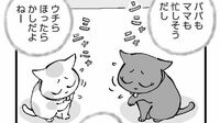 なぜ殴り合い…？どうにも仲が悪い｢2匹の猫｣に困った飼い主が"その道のプロ"を呼ぶと……背景にあった意外な事情
