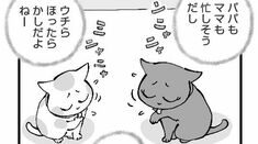 ひろみ猫シッターサービス