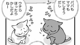 なぜ殴り合い…？どうにも仲が悪い｢2匹の猫｣に困った飼い主が"その道のプロ"を呼ぶと……背景にあった意外な事情