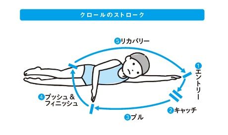 （画像：『子どもに必要な能力はすべて水泳で身につく』P.178より）