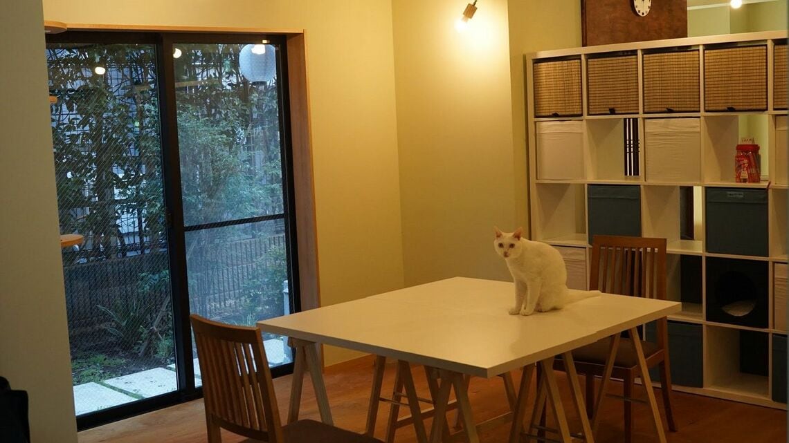 東京・三軒茶屋に2020年7月オープンした、猫を助ける複合施設「SANCHACO」。写真はワーキングスペースで、使用料は会員料金であれば1ヵ月5000円、会員以外は1時間1000円（写真：シナモンチャイ）