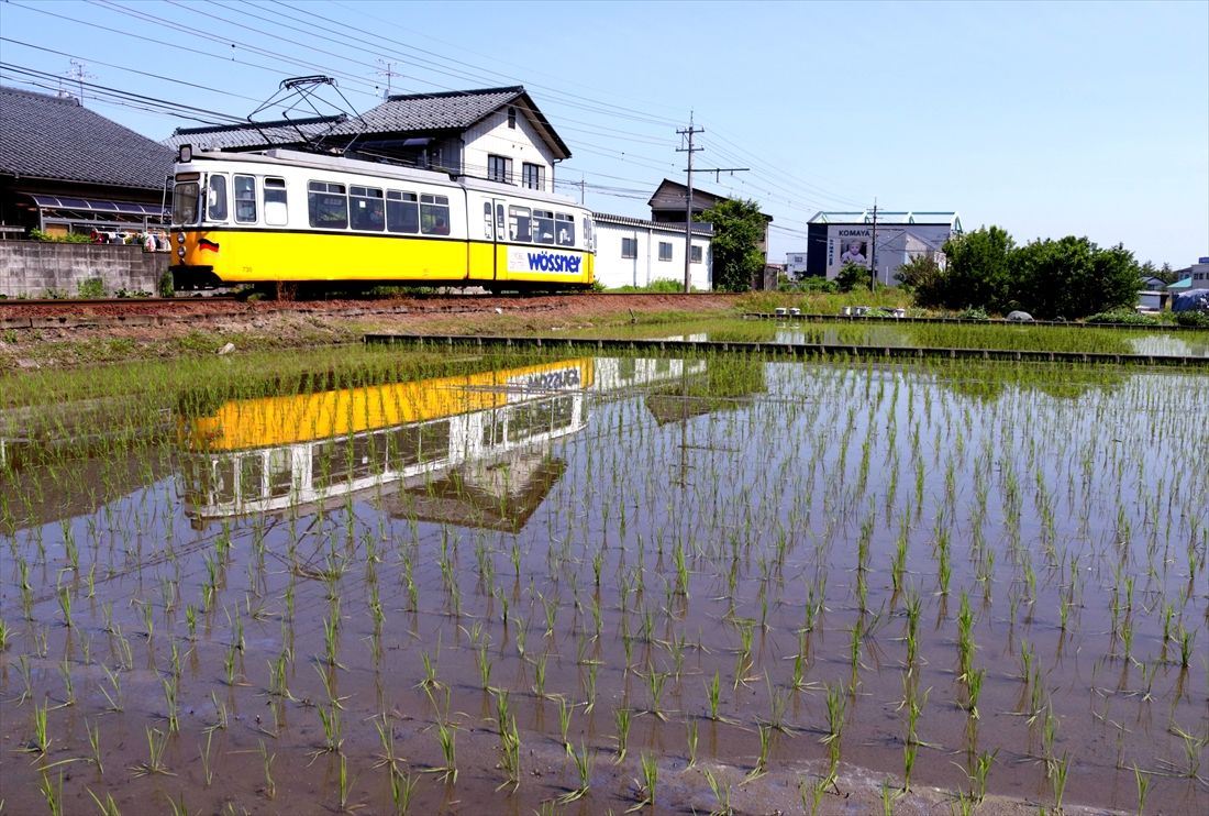 水鏡に姿を映して走る「レトラム」＝家久付近（撮影：南正時）