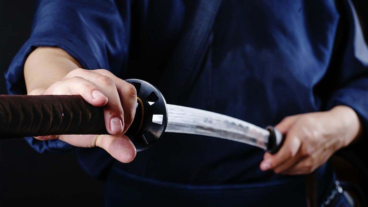 津*奈様 ジャンク 江戸時代 残欠 古い日本刀 合法サイズにカットされています。 津田近江守助直 脇差 特別保存刀剣 ｜日本刀販売は永楽堂