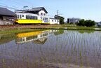 水鏡に姿を映して走る「レトラム」