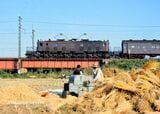 鉄橋を渡るEF56形牽引の荷物列車と農作業の人々＝1973年10月（撮影：南正時）