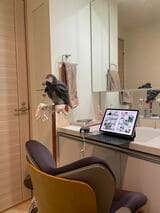 洗面所は、キクノスケくんお気に入りのスペースのひとつ（写真提供：カマタさん）